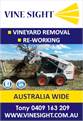 Olive Grove and Vineyard Removal and Re-Working 